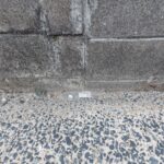 生田土地 画像4