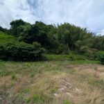 田後土地 画像8