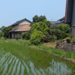 中河原土地 画像6
